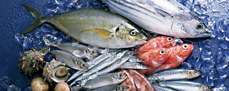 新鮮で豊富な魚介類